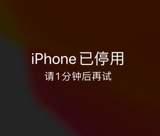 长安苹果手机维修分享:iPhone 显示“不可用”或“已停用”怎么办？还能保留数据吗？ 