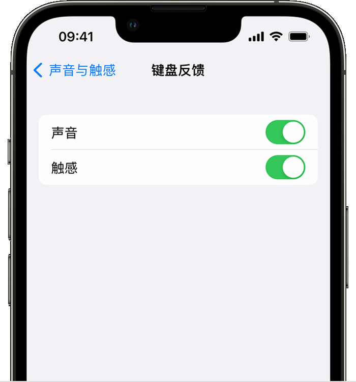 长安苹果14维修店分享如何在 iPhone 14 机型中使用触感键盘 