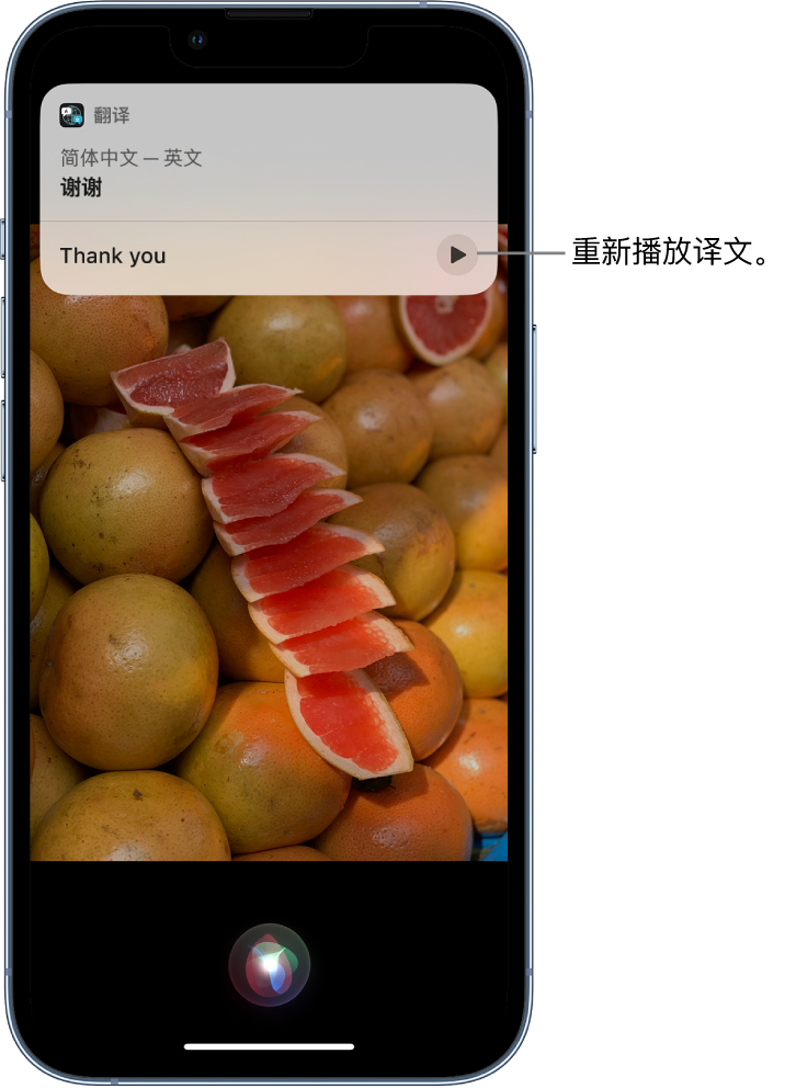 长安苹果14维修分享 iPhone 14 机型中使用 Siri：了解 Siri 能帮你做什么 