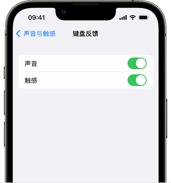 长安苹果14维修分享iPhone 14 系列机型如何开启键盘声音或触感反馈 