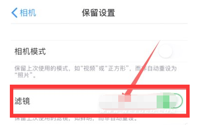 长安苹果13维修分享iPhone13拍照有绿点是怎么回事 