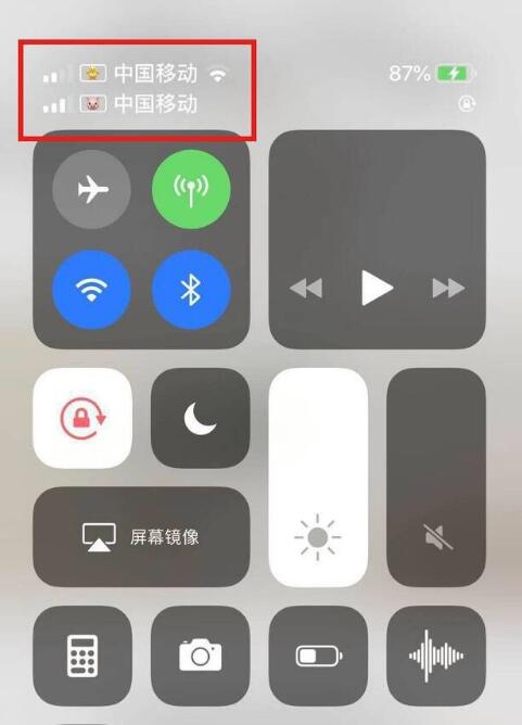 长安苹果手机维修分享为 iPhone 12 双卡设置标签 